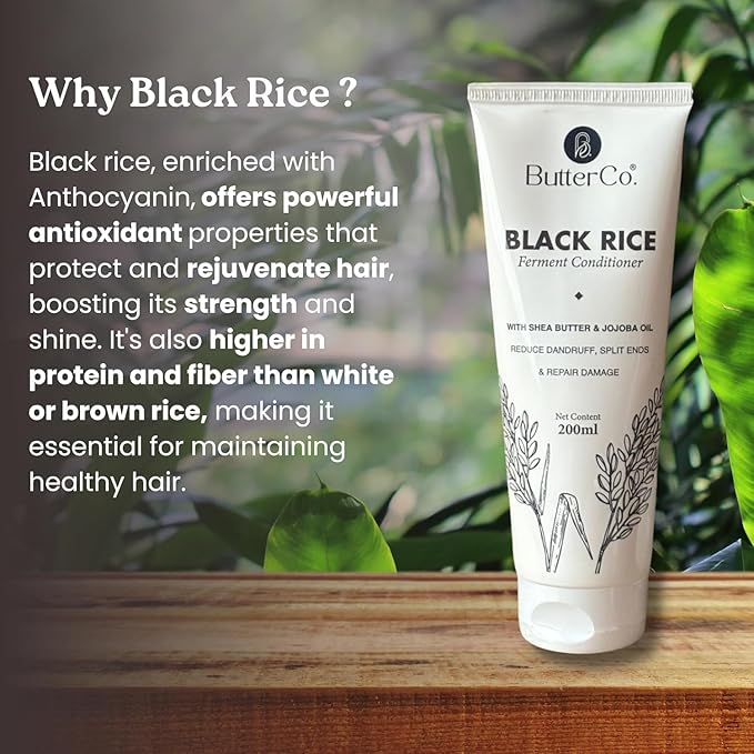 ButterCo. Black Rice Water Shampoo & Conditioner For All Hair Types | Anti Dandruff, Reduce Split Ends With 3X Damage Protection Formulated With Fermented Black Rice, Shea Butter, Jojoba Oil - 200ml