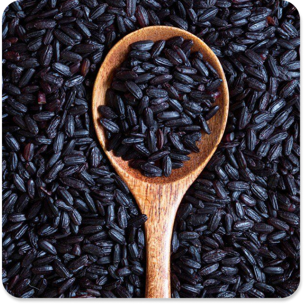 From South India to Your Routine